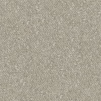 Andes Pumice