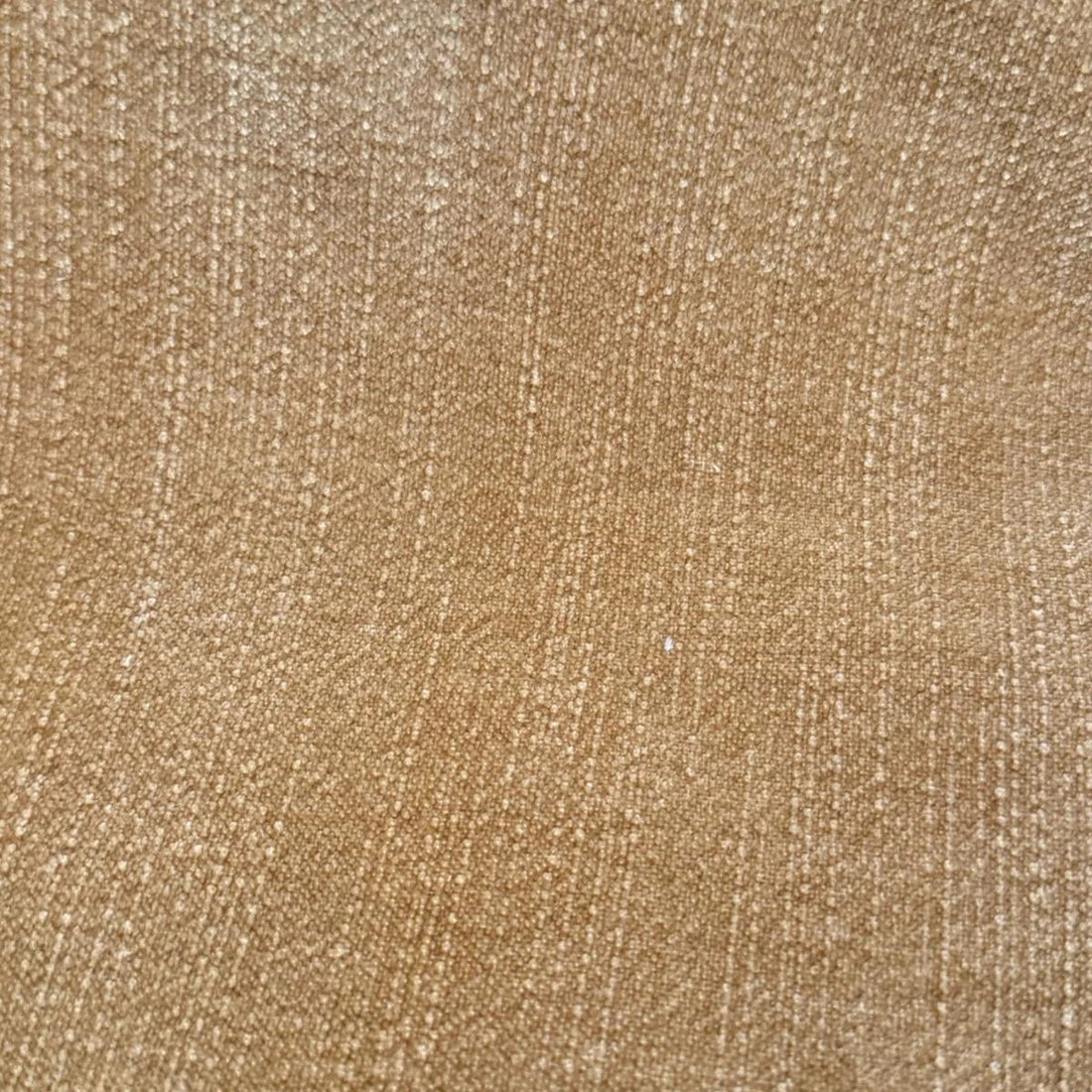 Miso Caramel