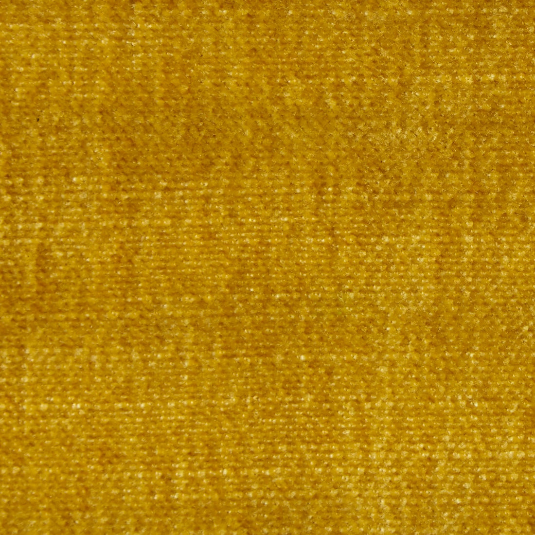Miso Lemon